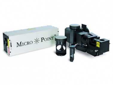 MicroPoint